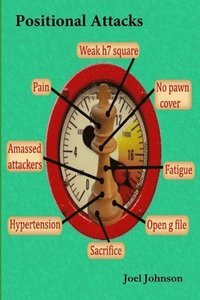 bokomslag Positional Attacks