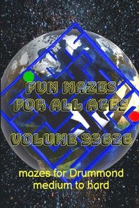 bokomslag Fun Mazes for All Ages Volume 33626