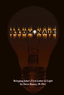 bokomslag Illuminate