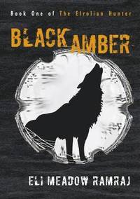 bokomslag Black Amber