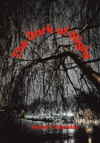 bokomslag The Dark of Night