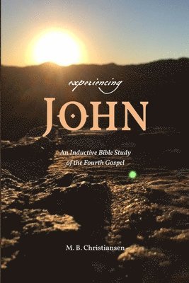 bokomslag Experiencing John