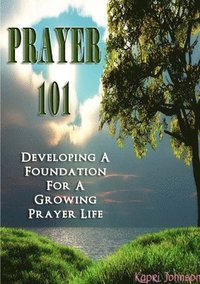 bokomslag Prayer 101
