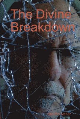 bokomslag Divine Breakdown