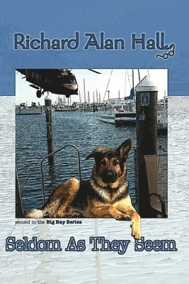 Richard Alan Hall - Seldom as They Seem, Häftad