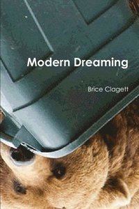bokomslag Modern Dreaming