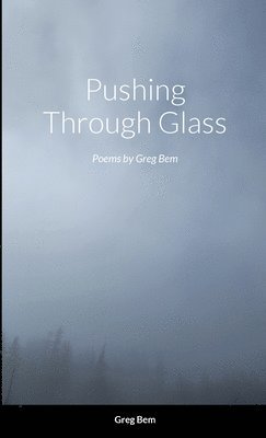 bokomslag Pushing Through Glass