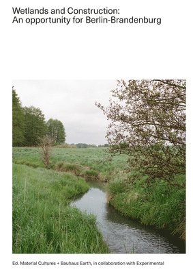 bokomslag Wetlands and Construction