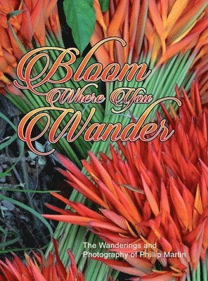 bokomslag Bloom Where You Wander (Expanded, matte cover)