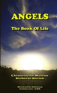 bokomslag Angels - the Book of Life