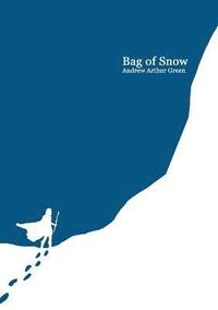 bokomslag Bag of Snow