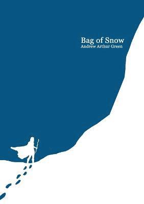 Bag of Snow 1