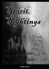 bokomslag Spirit Sightings Visits From The Other Side