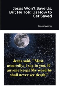 bokomslag Jesus Won't Save Us, But He Told Us How to Get Saved