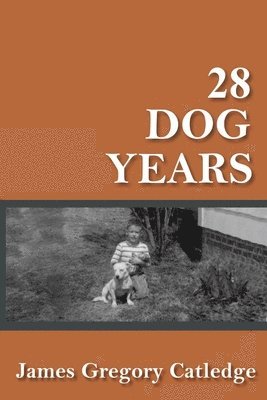 bokomslag 28 Dog Years