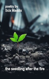 bokomslag seedling after the fire