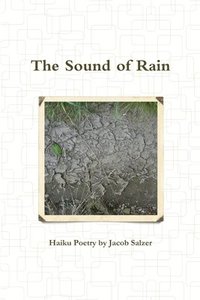 bokomslag The Sound of Rain