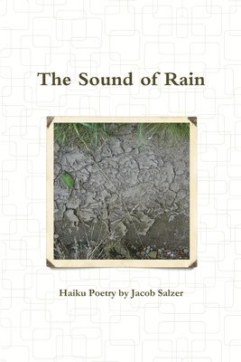 Jacob Salzer - Sound of Rain, Häftad