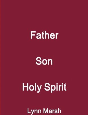 bokomslag Father Son Holy Spirit