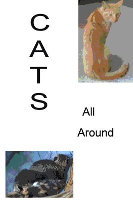 bokomslag Cats All Around