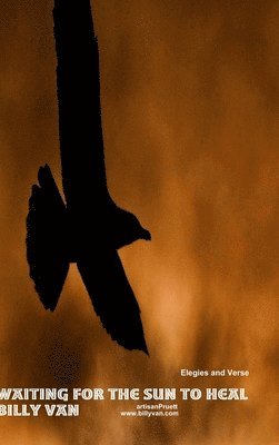 Waiting for the Sun to Heal