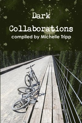 bokomslag Dark Collaborations