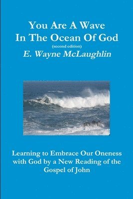 bokomslag You are A Wave in the Ocean of God