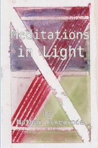 bokomslag Meditations in Light