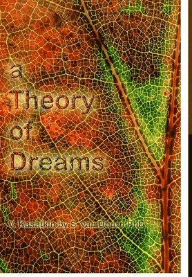 bokomslag A Theory of Dreams