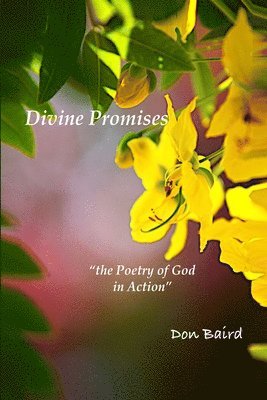 Don Baird, Richard Gilbert - Divine Promises, Häftad