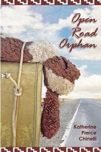 bokomslag Open Road Orphan
