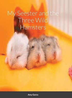 bokomslag My Seester and the Three Wild Hamsters