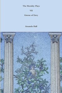 bokomslag Morality Plays VII