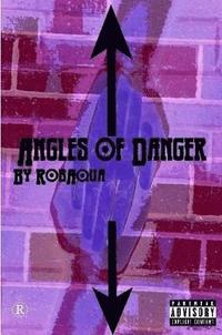 bokomslag Angles of Danger