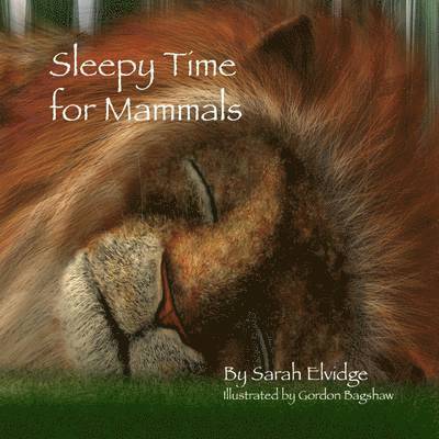 Sleepy Time for Mammals 1