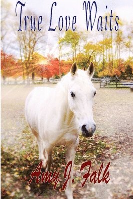 True Love Waits