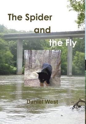 The Spider and the Fly 1