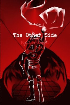 bokomslag Other Side: Fallen Angel Book 1