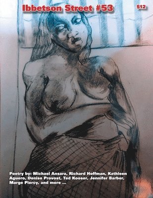 Doug Holder - Ibbetson Street #53, Häftad