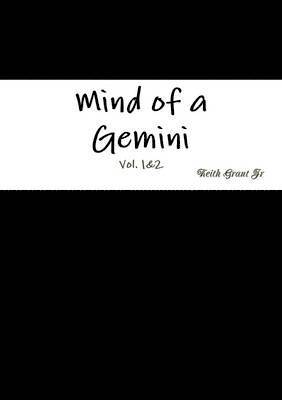 bokomslag Mind of a Gemini