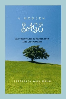 bokomslag Modern Sage