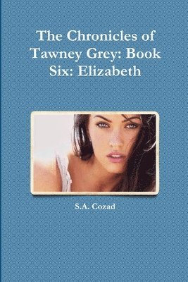 bokomslag The Chronicles of Tawney Grey