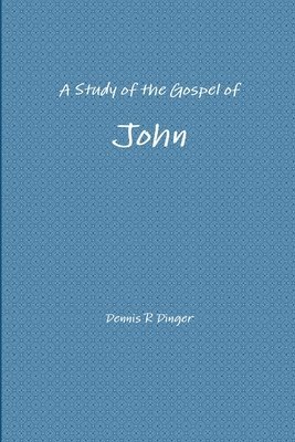 bokomslag A Study of the Gospel of John