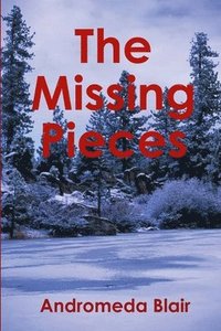 bokomslag The Missing Pieces