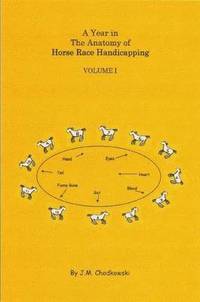 bokomslag A Year in the Anatomy of Horse Race Handicapping Volume I