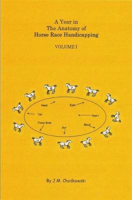 bokomslag A Year in the Anatomy of Horse Race Handicapping Volume I