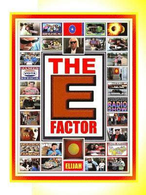 bokomslag E Factor