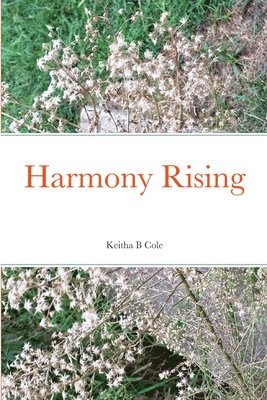 Harmony Rising 1