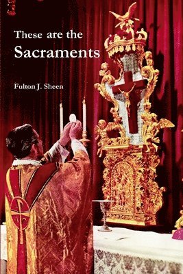 bokomslag These are the Sacraments