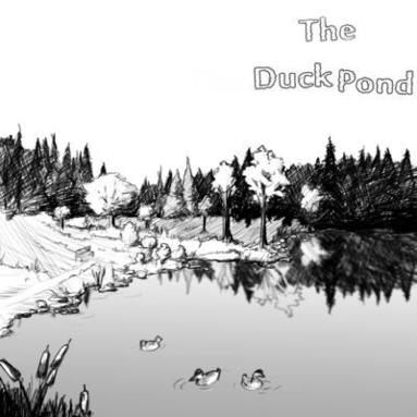 Brian Cooper, Jennifer Kellett - Duck Pond, Häftad